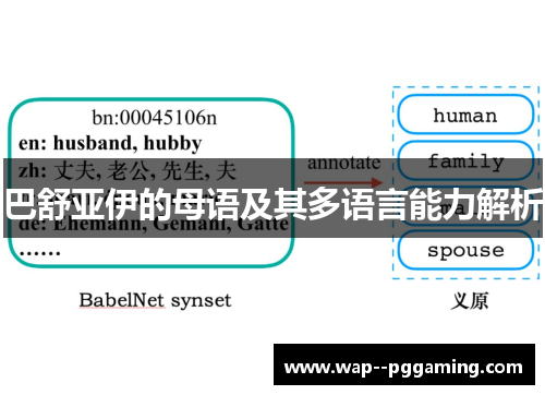 巴舒亚伊的母语及其多语言能力解析