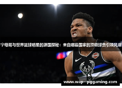 字母哥与世界篮球明星的源国探秘：来自哪些国家的顶级球员引领风潮