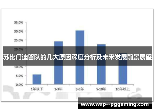 苏比门迪留队的几大原因深度分析及未来发展前景展望 苏比门迪留队的几大原因深度分析及未来发展前景展望