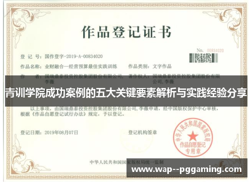 青训学院成功案例的五大关键要素解析与实践经验分享