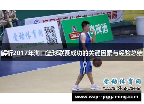 解析2017年海口篮球联赛成功的关键因素与经验总结