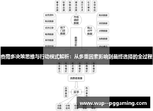 费南多决策思维与行动模式解析：从多重因素影响到最终选择的全过程