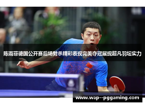 陈雨菲德国公开赛后场劈杀精彩表现完美夺冠展现超凡羽坛实力