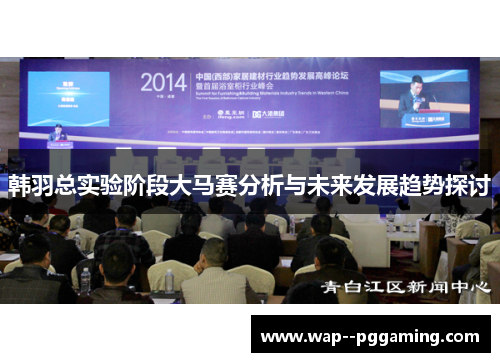 韩羽总实验阶段大马赛分析与未来发展趋势探讨